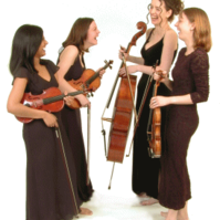 Strings Attached String Quartet