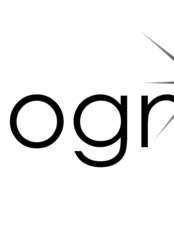 Incognito Artists