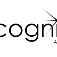 Incognito Artists