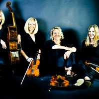 Platinum string quartet