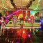 Tropicalia Show Hilton Heathrow 10.jpg