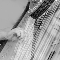 Glenda Harpist